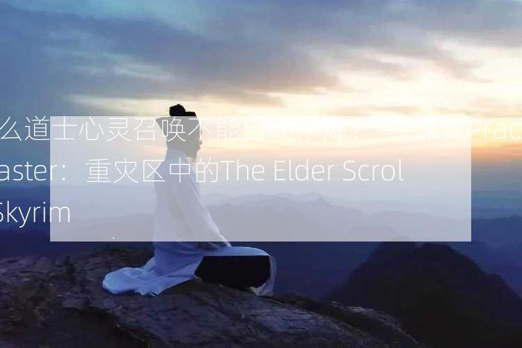 为什么道士心灵召唤不能自动修炼？——探究Practitioner Master：重灾区中的The Elder Scrolls V Skyrim